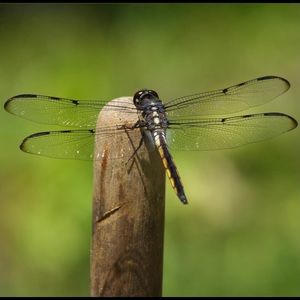 Original Photo Art Print